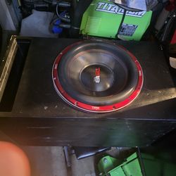 15 inch DS18 Hooligan Subwoofer