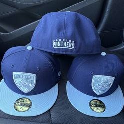 Florida Panthers Fitted Hat