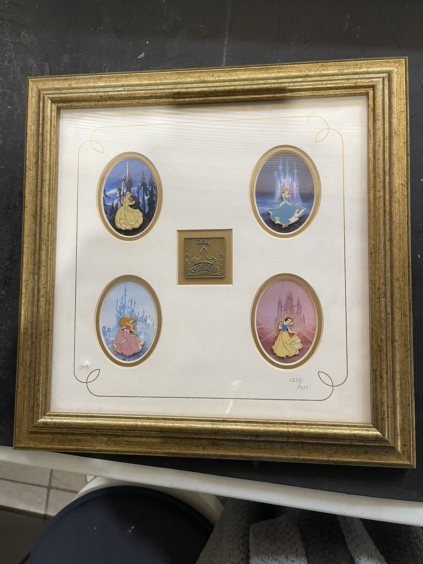 Official Disney Princess Pin Framed Collection