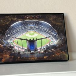 Kansas City Royals Stadium Picture 8.5x11 