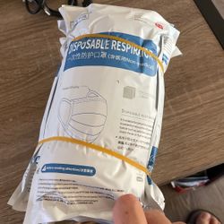 100 Facemask*2