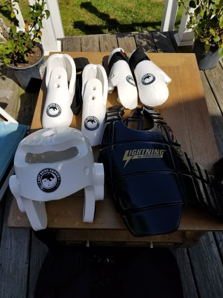 Art Beins Karate Sparing Gear