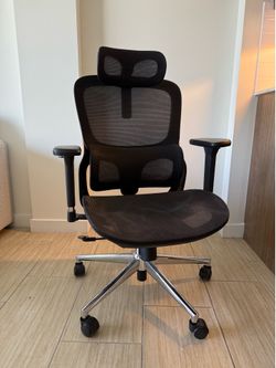 Ergonomic Office Chair w/ Headrest & Lumbar Support