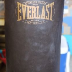 100 lb Punching Bag 