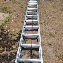 32 Ft Ladder 