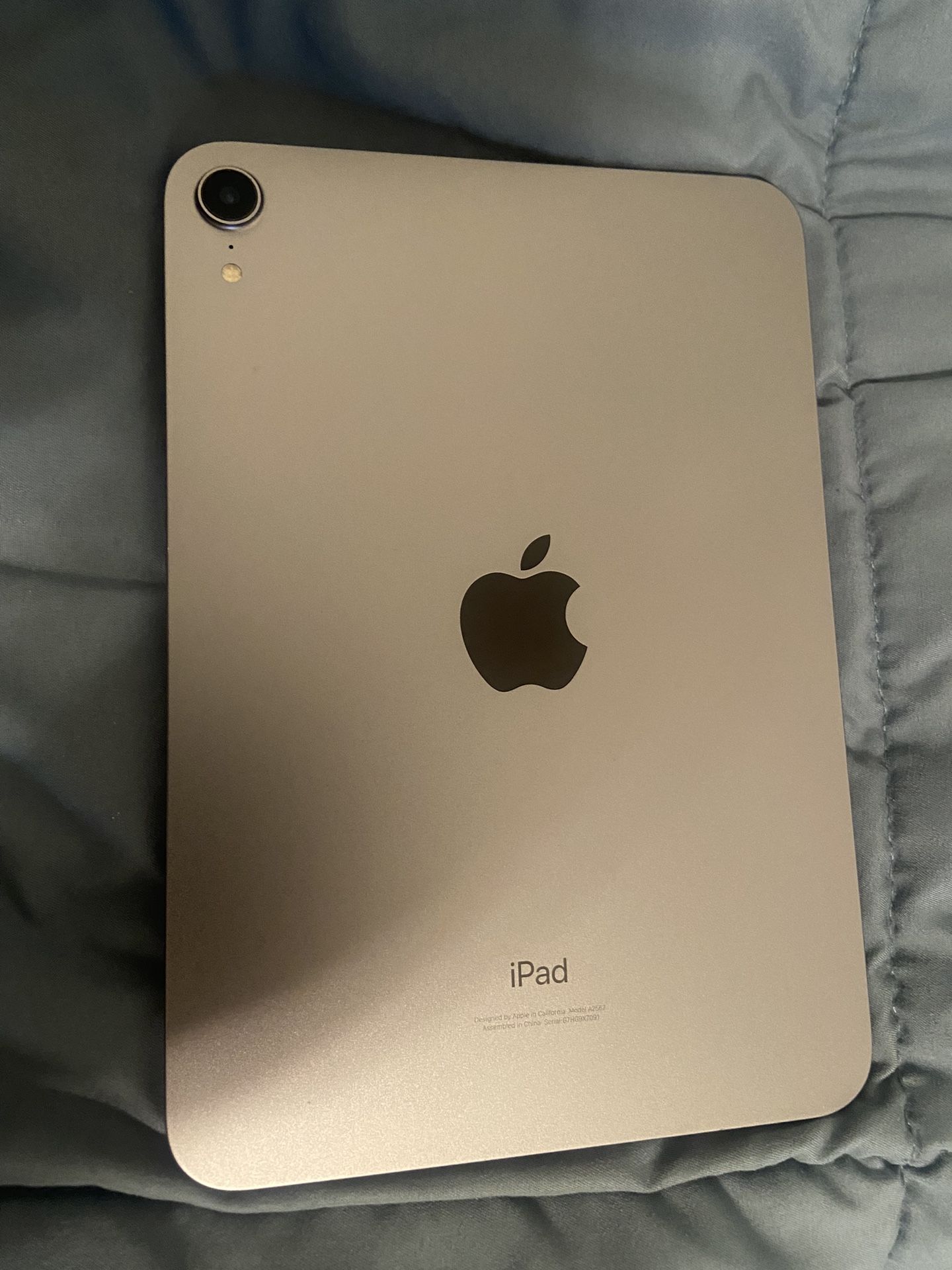 iPad Mini 6 256GB Purple 