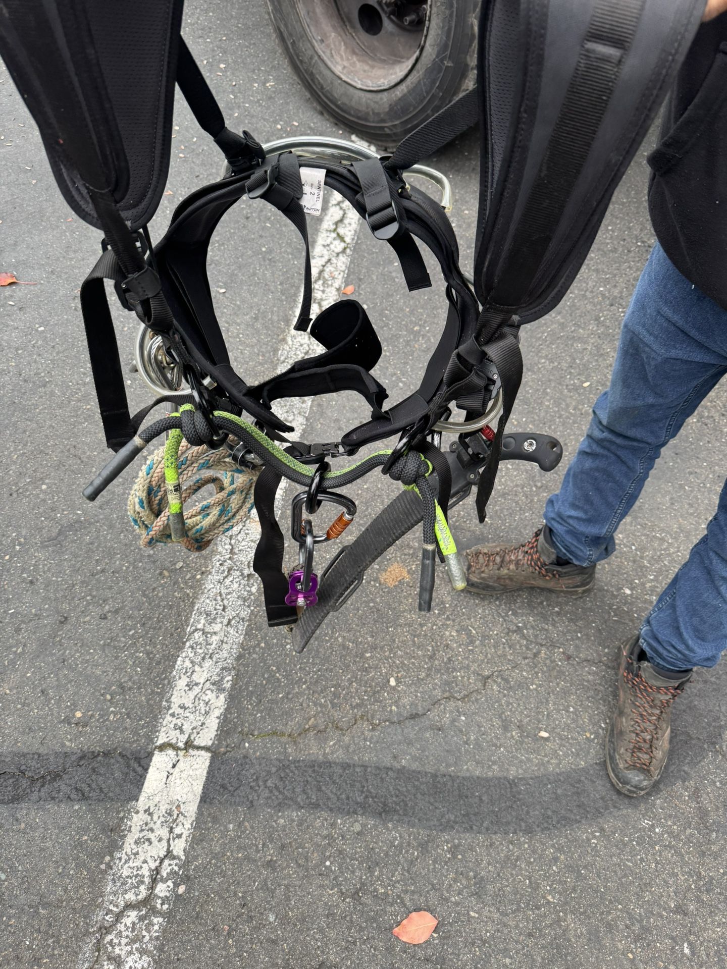 Tree Climbing Saddle