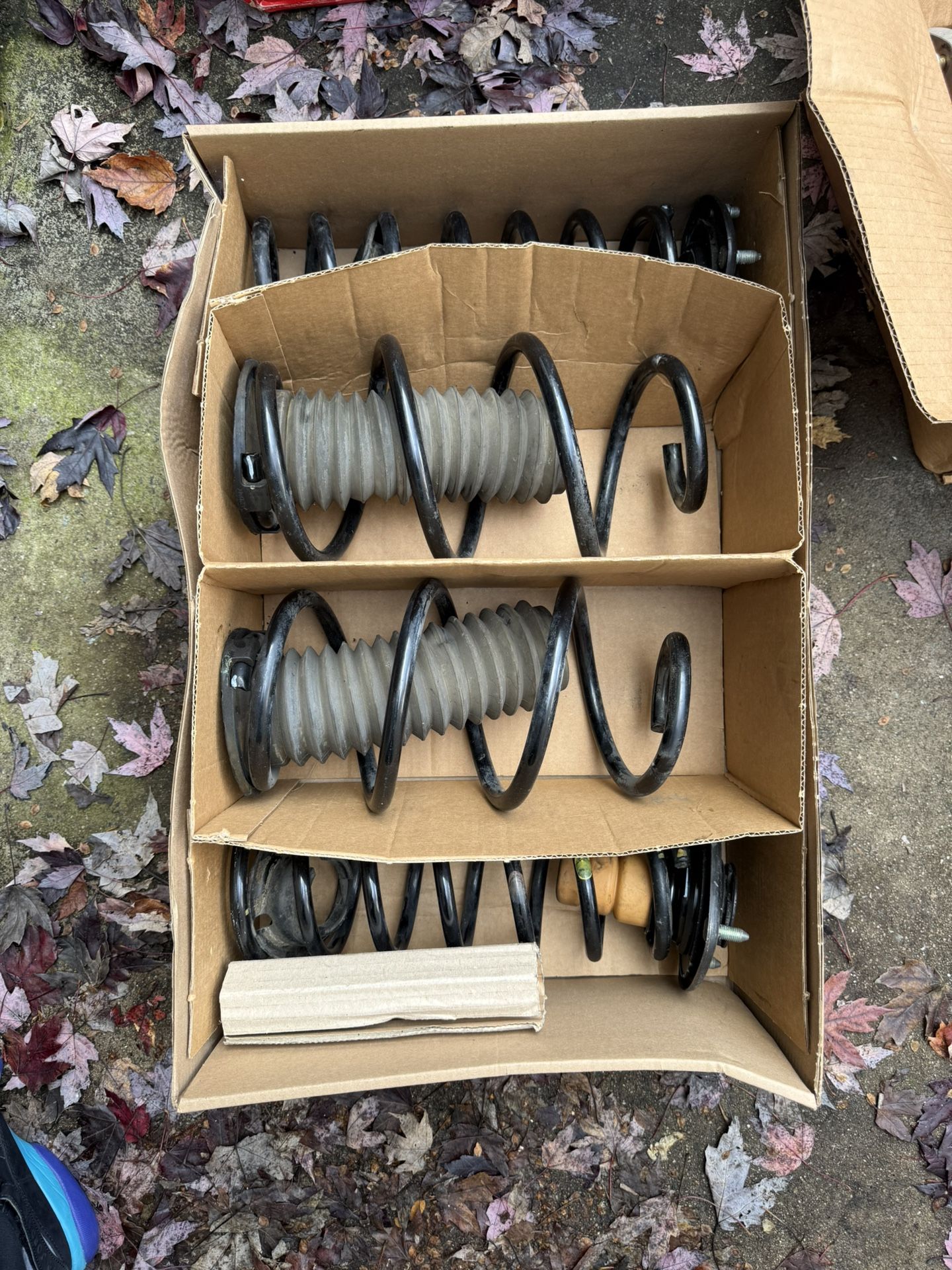 Oem Springs