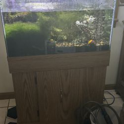 38 Gallon Mirror Back Aquarium 