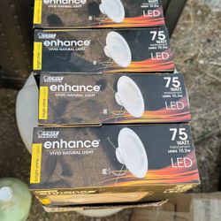 Ceiling Lights New 