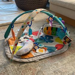 Baby Einstein Activity Gym