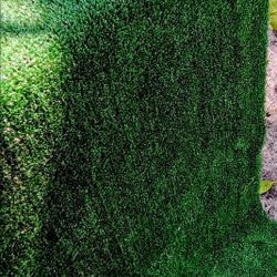 GREEN ARTIFICIAL GRASS TURF,,,,, 8 BY 8 FEET