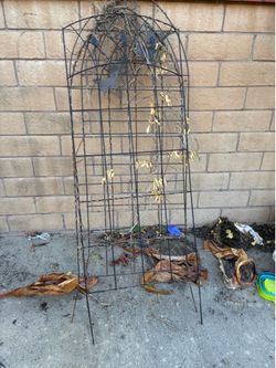 3 Trellis for $30