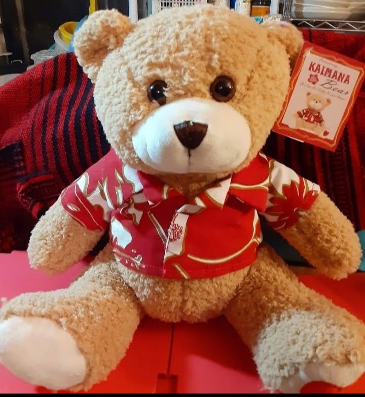  Kaimana Kauai  Orginal Teddy Bear NEW 