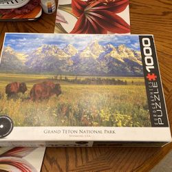 1000 pcs grand teton national park puzzle