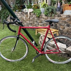 Fixie / Single-Speed Road Bike – Solid Frame & Parts – Project Bike