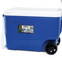 Igloo Cooler -$25