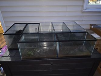 7 10 gallon aquariums