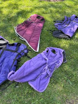Horse blankets hoods miscellaneous