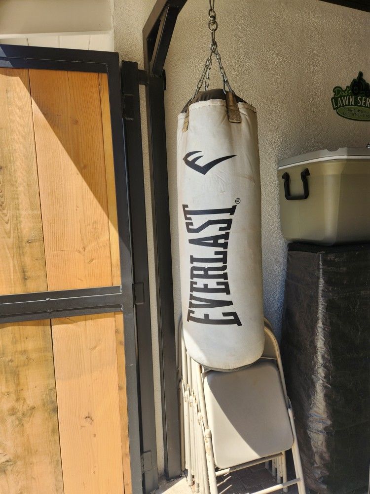 Punching Bag