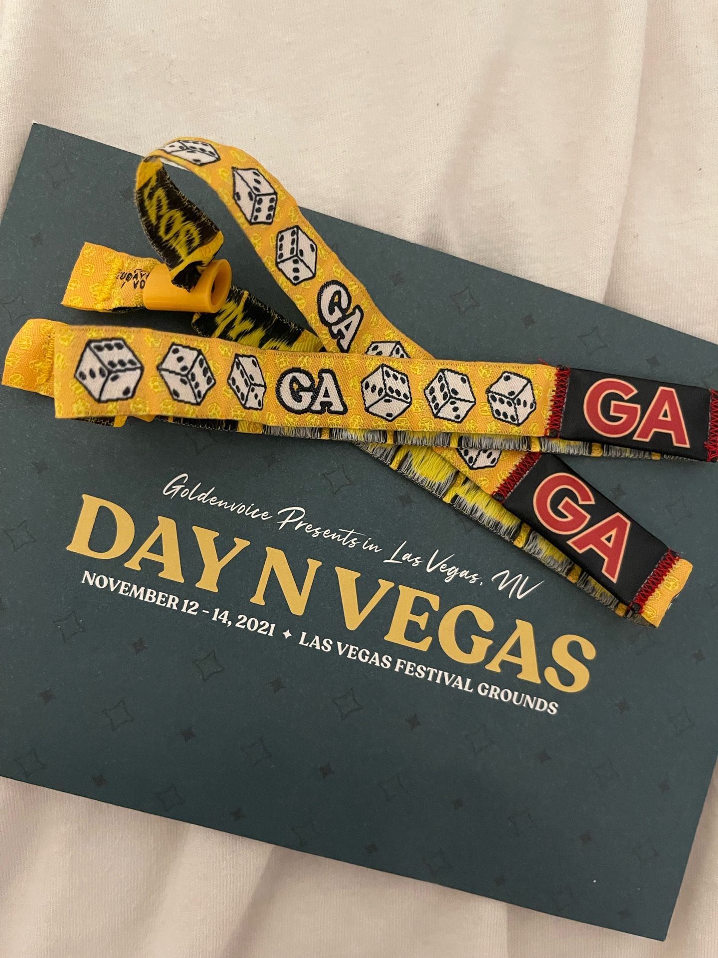 1 ticket  for the saturday and sunday portion of day n vegas 