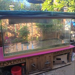 Aquariums / Fish Tanks 5–80 Gallons – $3 Per Gallon