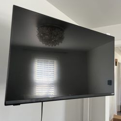 Vizio TV w/ Wall Mount