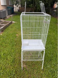 Birg cage 😳😳
