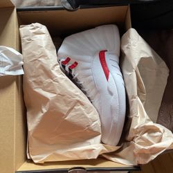 Air Jordan 12