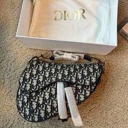 CD Christian Dior saddlebag Medium 