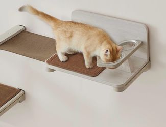 Car shelf feeder