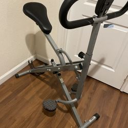 Sunny Brand Upright Row N Ride Exerciser