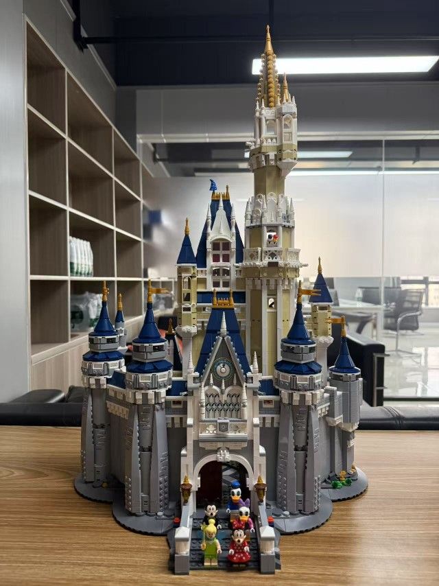 Disney Castle Set