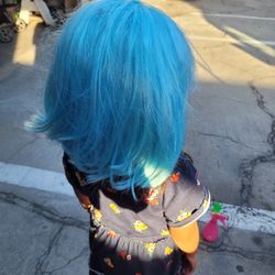 Wigs/ Peluca