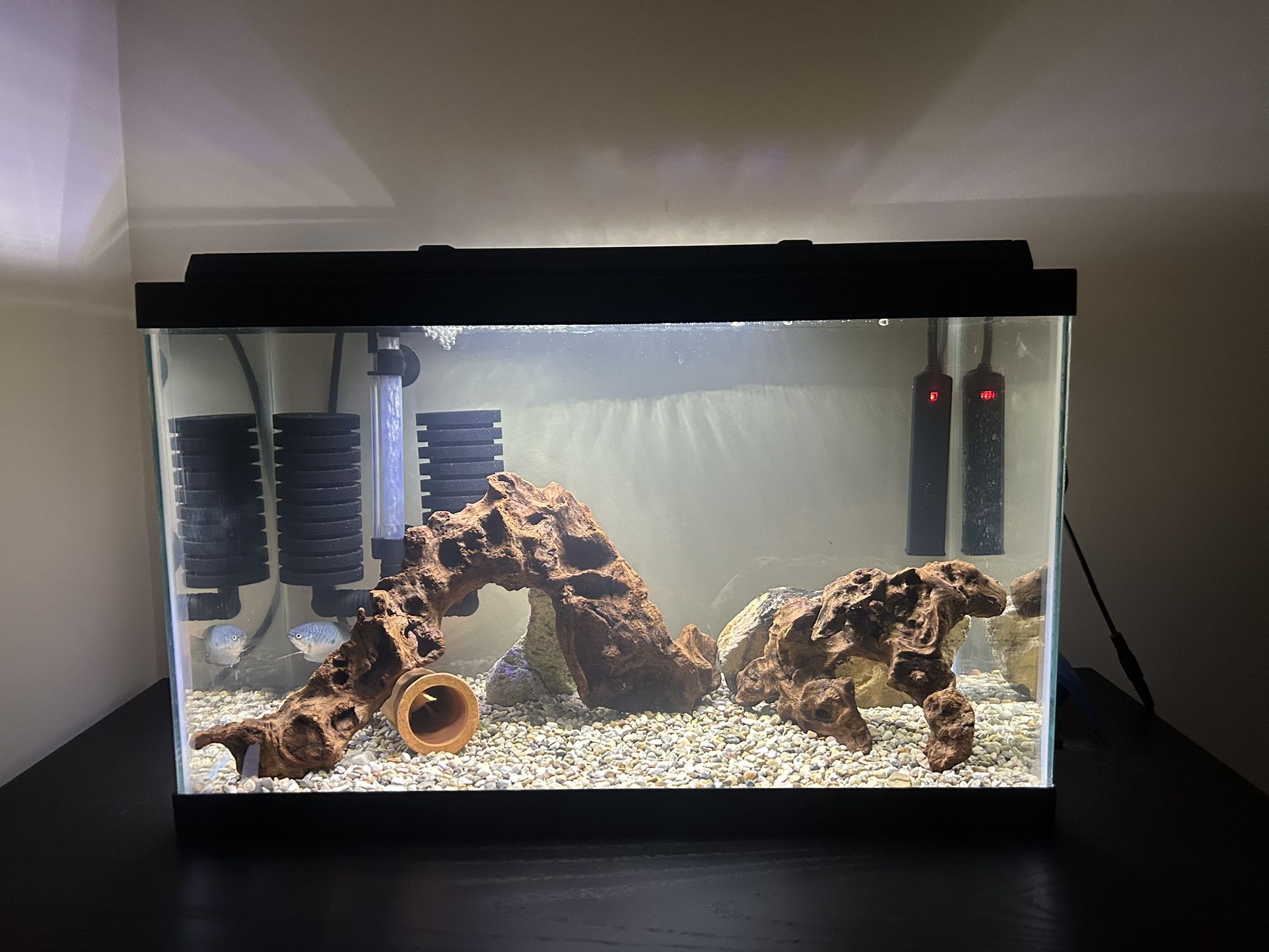 Fish Tank