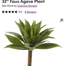 Agave Plant (Fake)