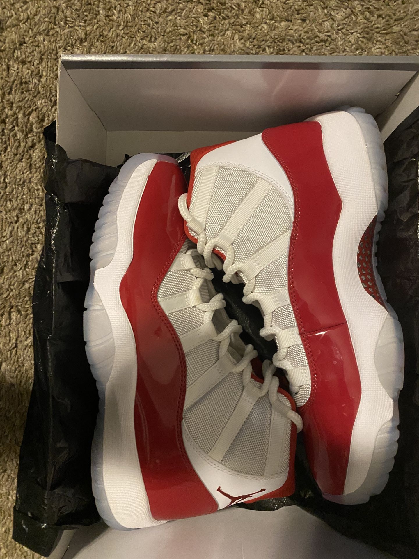 Air Jordan 11 Retro