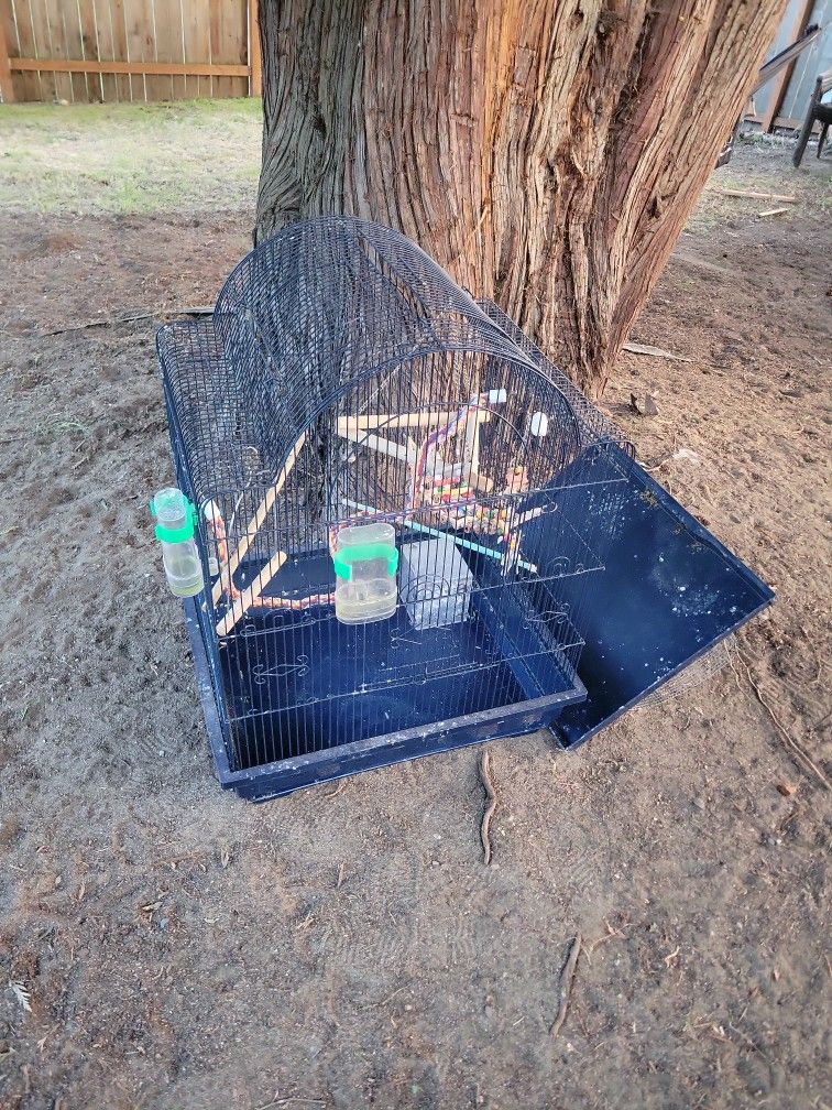 Bird Cage