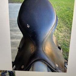 Saddle
