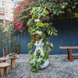 Lettuce Grow Farmstand Hydroponics with free pH Down/Up & Timer