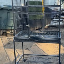 Bird Cage