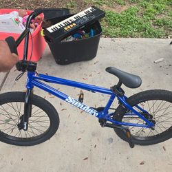 Sunday Bicycle