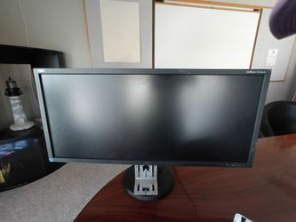 NEC MultiSync EA294WMi Ultra-Wide 29-Inch LED Desktop Monitor.