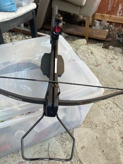 Wild game , for sale