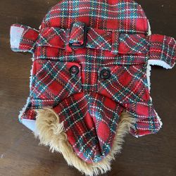 Mini  Dog Or Puppy Christmas  Gear