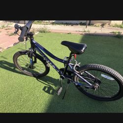 20 Inch Schwinn Bike
