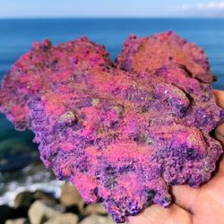 Reef Safe Coral Frag Plugs Disk (6 Pack) – Live Rock, Dry Rock