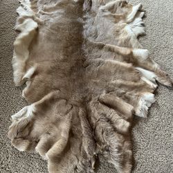 Authentic Deer Skin