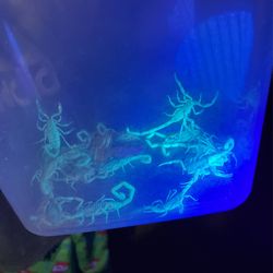 Scorpion Hunting Business