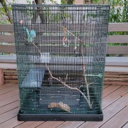 Large, Bird Cage.